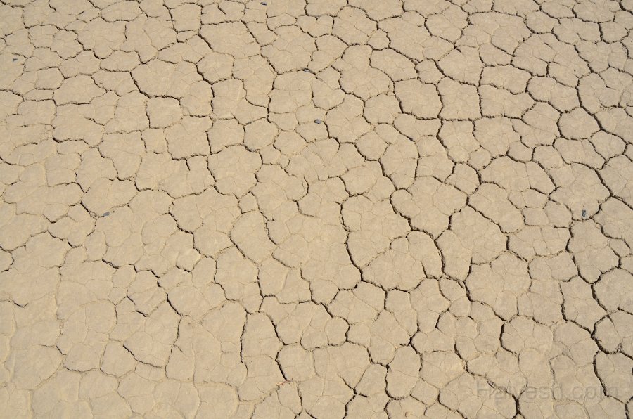 HJS_3931.JPG - The dry floor of the Racetrack playa