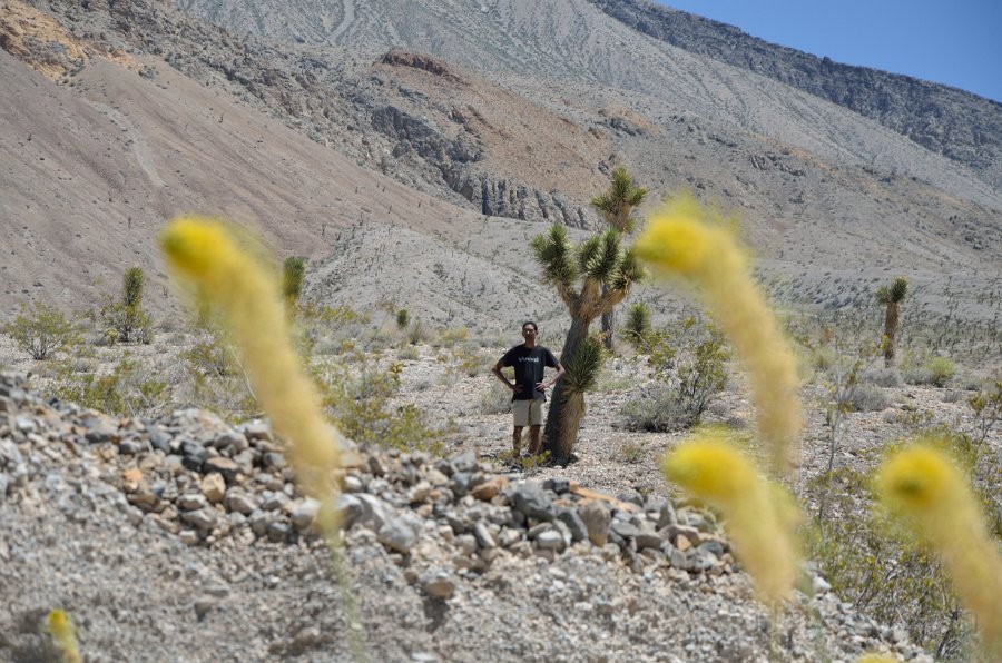HJS_4073.JPG - On the unpaved drive from The Racetrack 
