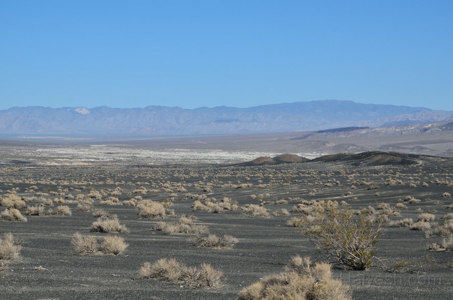 HJS_3905.JPG - Cinder Fields surrounding Uhebehe Crater- Black Sand covered fields