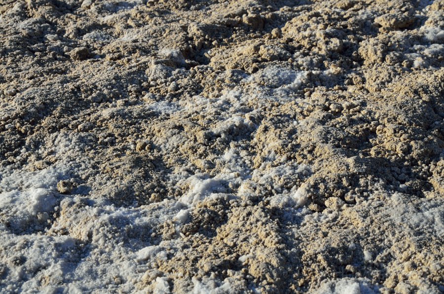 HJS_4178.JPG - White powdery salt at Badwater Basin