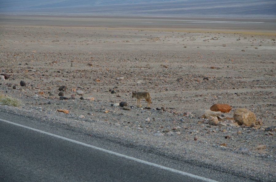 HJS_4248.JPG - Badwater Basin