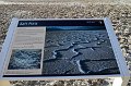 HJS_4174