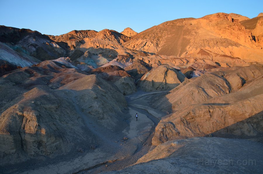 HJS_4225.JPG - Artist's Drive