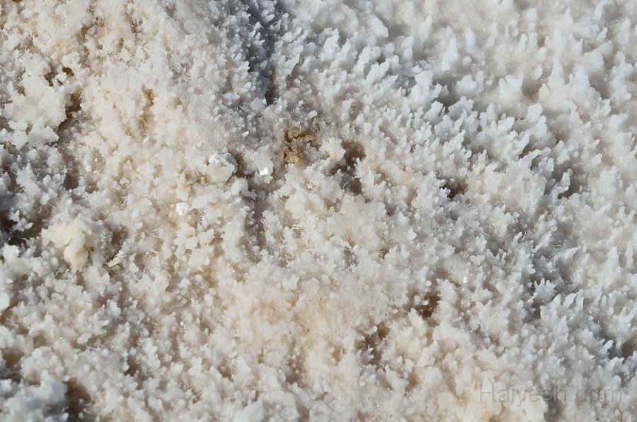 HJS_4303.JPG - Badwater Basin