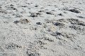 HJS_4311