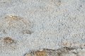 HJS_4324