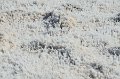 HJS_4329
