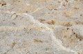 HJS_4344