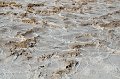HJS_4362