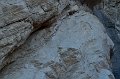 HJS_4577