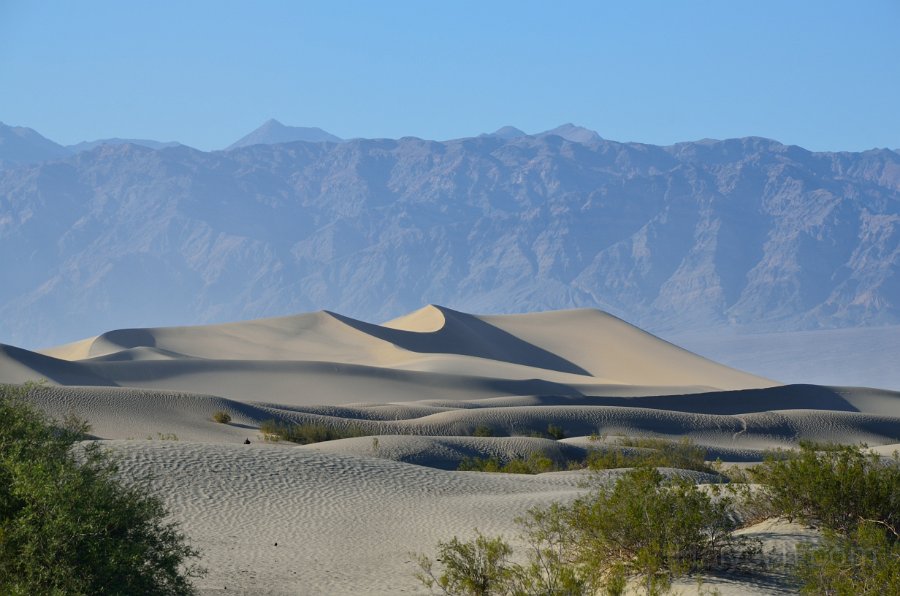HJS_4625.JPG - Mesquite Sand Dunes near dusk