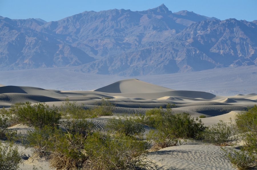 HJS_4626.JPG - Mesquite Sand Dunes near dusk