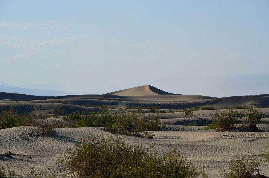 HJS_4627.JPG - Mesquite Sand Dunes near dusk