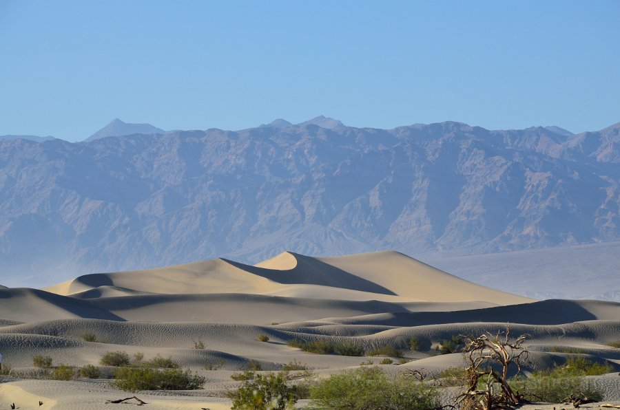 HJS_4628.JPG - Mesquite Sand Dunes near dusk