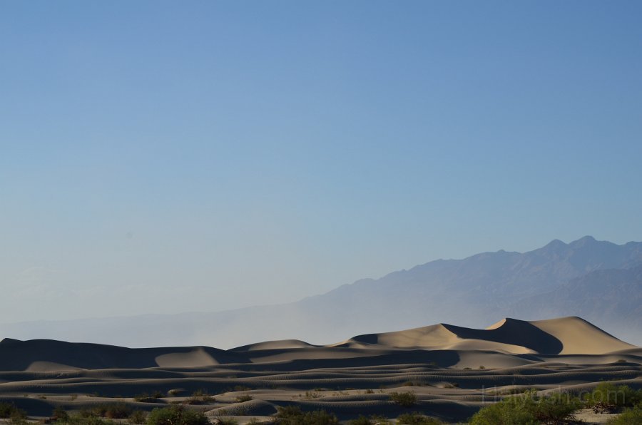 HJS_4631.JPG - Mesquite Sand Dunes near dusk