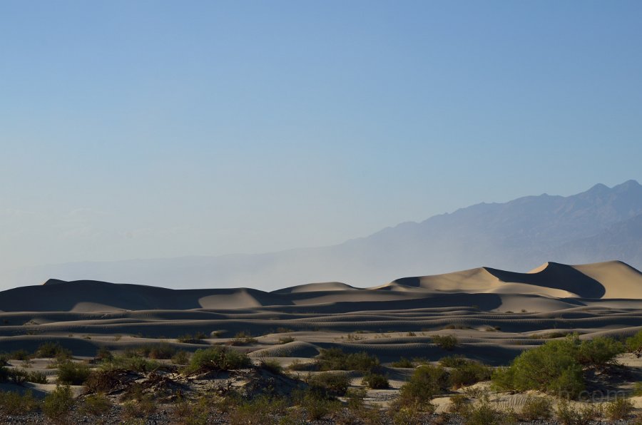 HJS_4634.JPG - Mesquite Sand Dunes near dusk