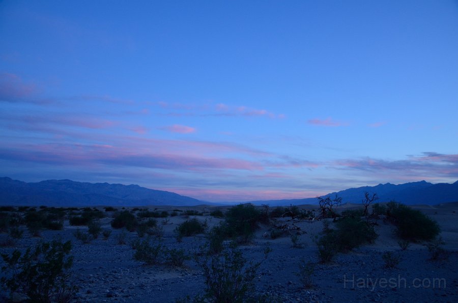 HJS_4654.JPG - Mesquite Sand Dunes at Dawn