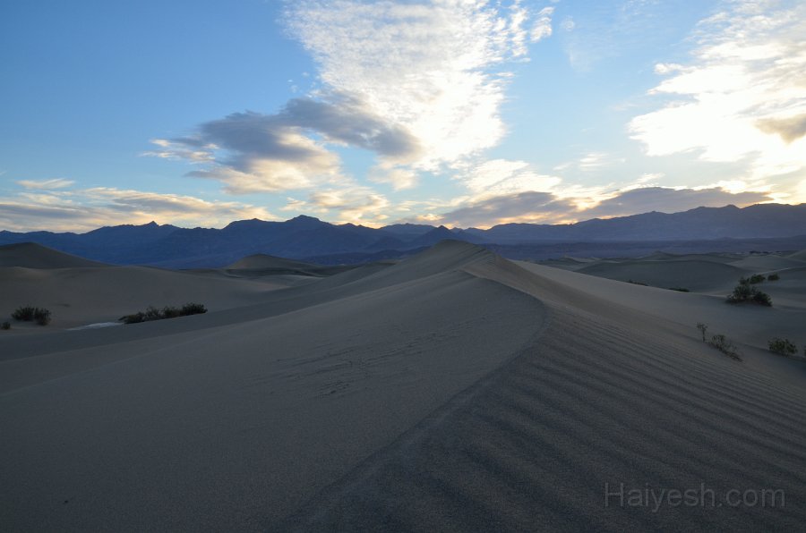 HJS_4673.JPG - Mesquite Sand Dunes at Dawn
