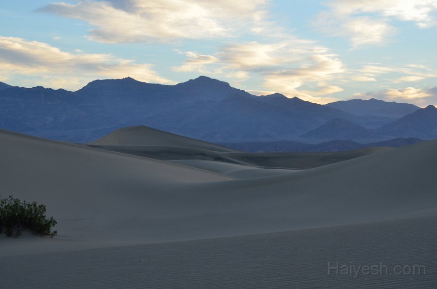 HJS_4676.JPG - Mesquite Sand Dunes at Dawn