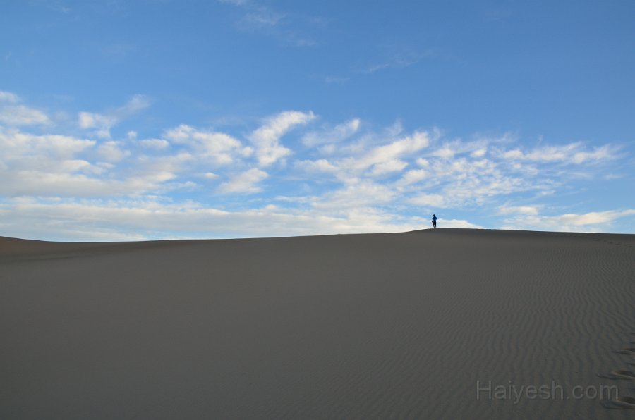 HJS_4692.JPG - Mesquite Sand Dunes at Dawn