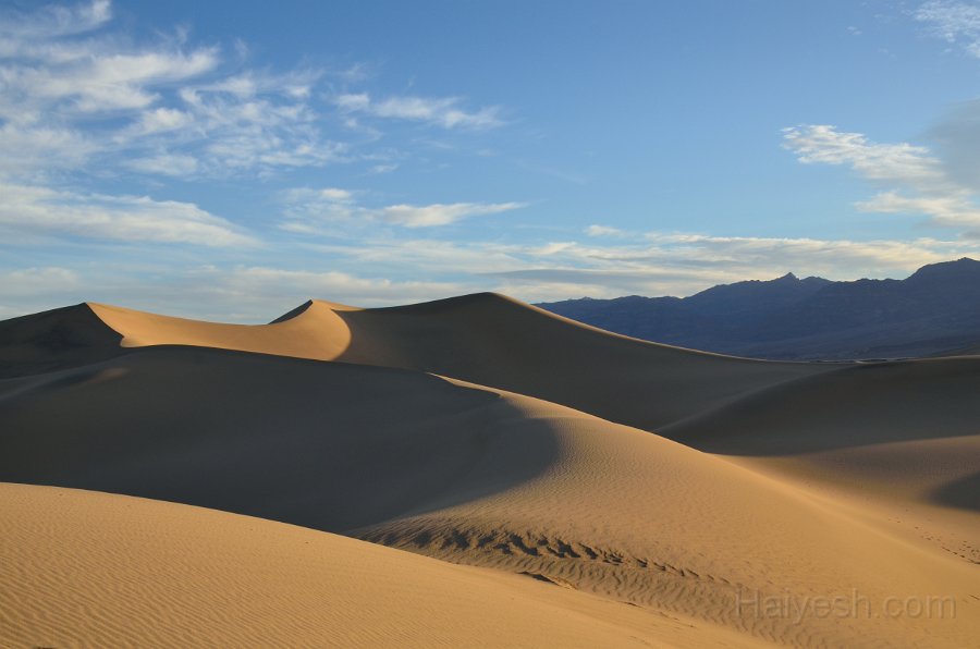 HJS_4708.JPG - Mesquite Sand Dunes at Dawn