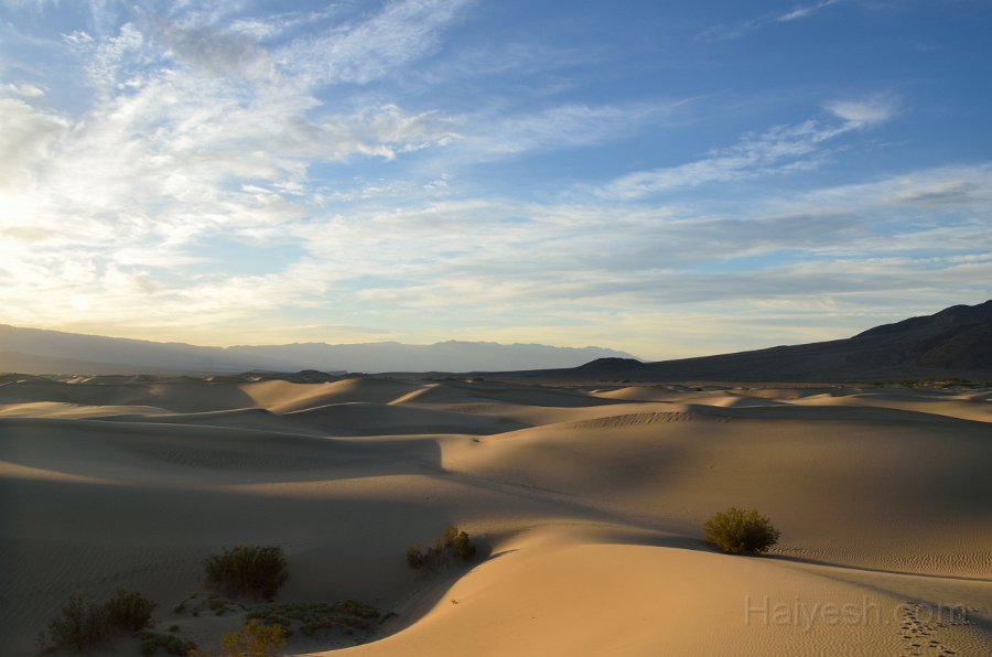 HJS_4709.JPG - Mesquite Sand Dunes at Dawn