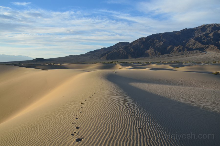 HJS_4725.JPG - Mesquite Sand Dunes at Dawn