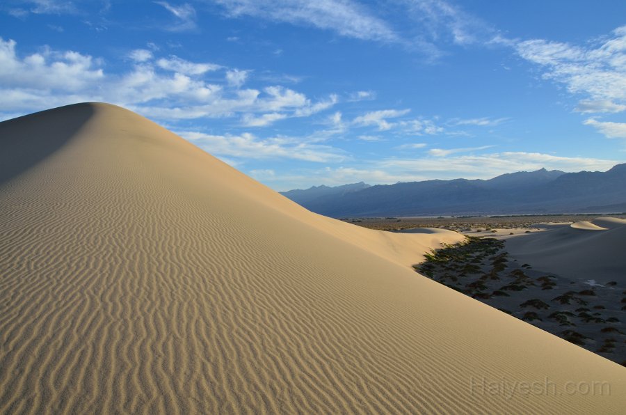 HJS_4726.JPG - Mesquite Sand Dunes at Dawn