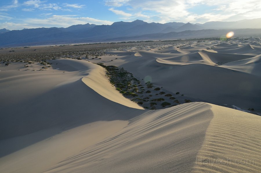 HJS_4738.JPG - Mesquite Sand Dunes at Dawn