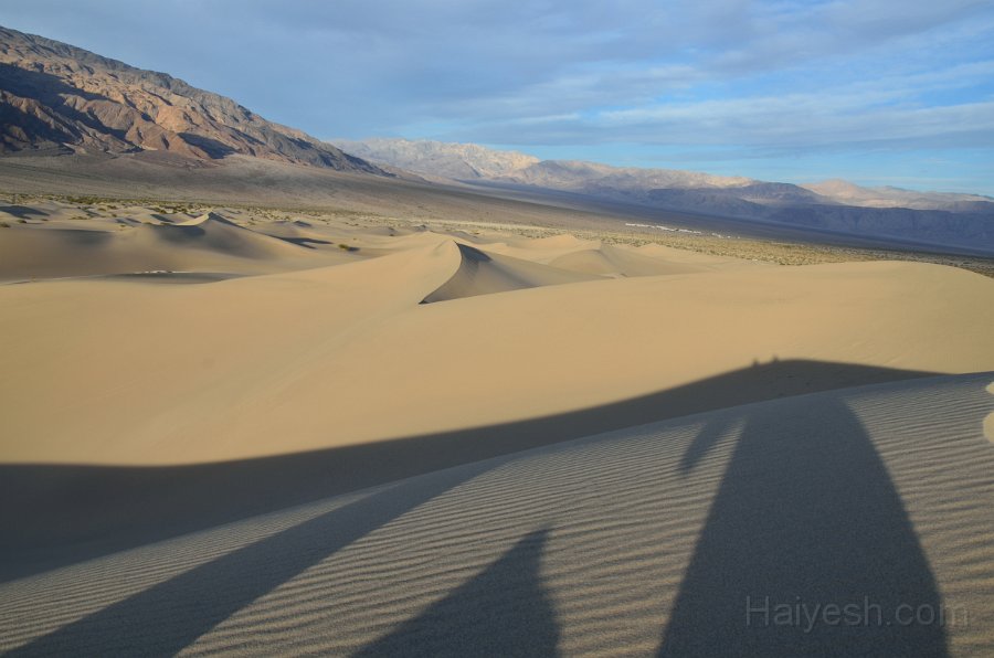 HJS_4753.JPG - Mesquite Sand Dunes at Dawn - Our shadows at the peak