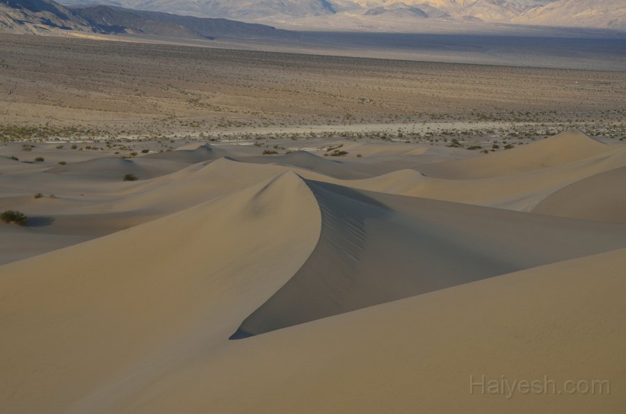 HJS_4763.JPG - Mesquite Sand Dunes at Dawn
