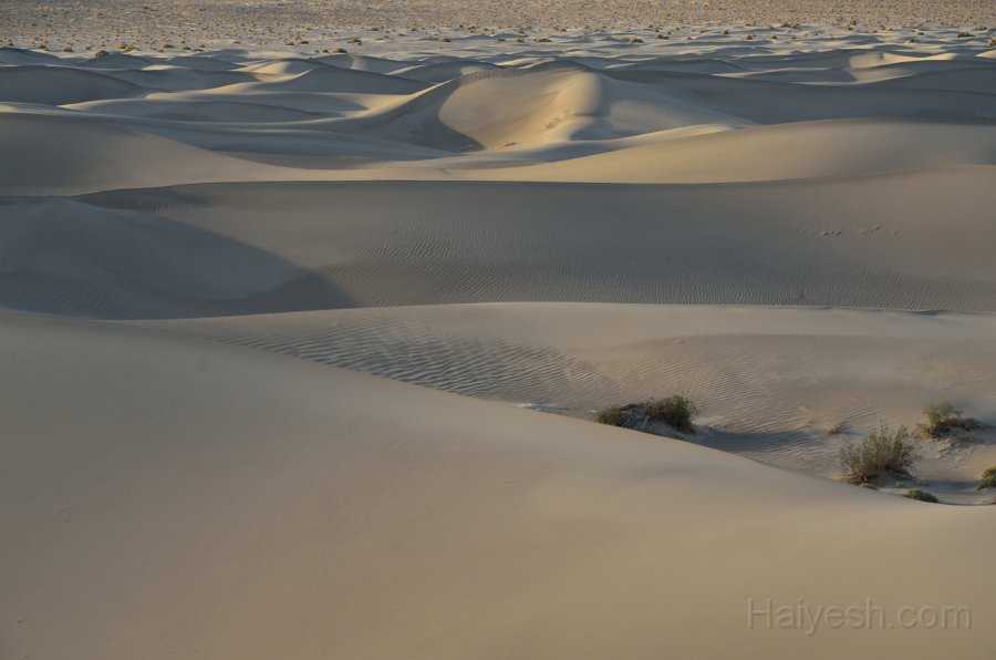 HJS_4766.JPG - Mesquite Sand Dunes at Dawn