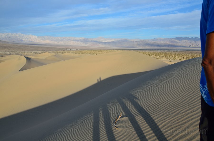 HJS_4773.JPG - Mesquite Sand Dunes at Dawn
