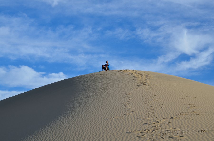 HJS_4778.JPG - Mesquite Sand Dunes at Dawn