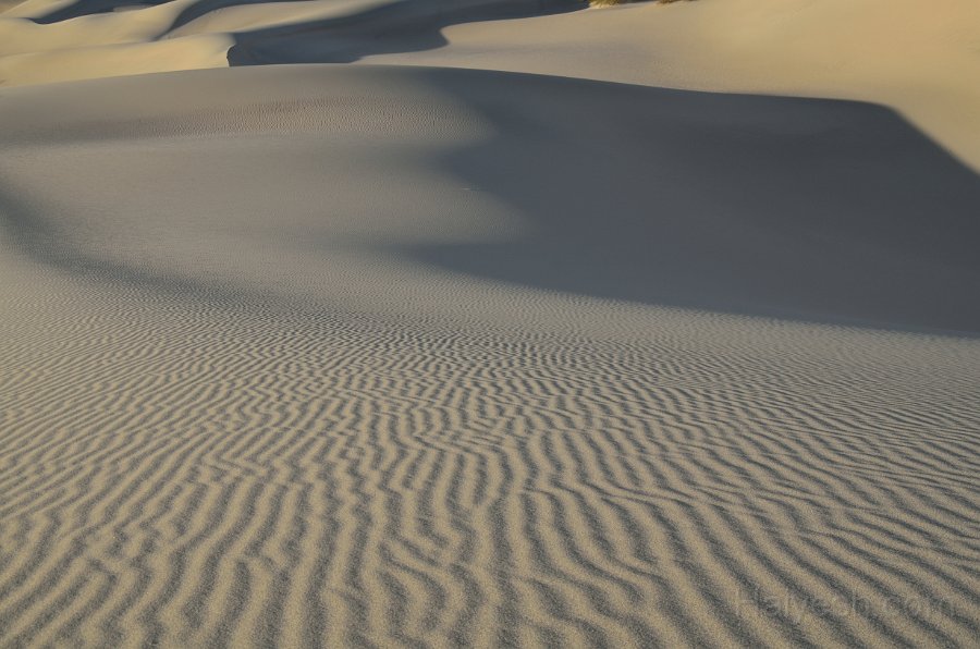 HJS_4784.JPG - Mesquite Sand Dunes at Dawn