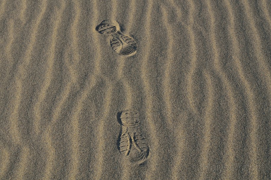 HJS_4786.JPG - Mesquite Sand Dunes at Dawn - Latika leaving behind Footprints 
