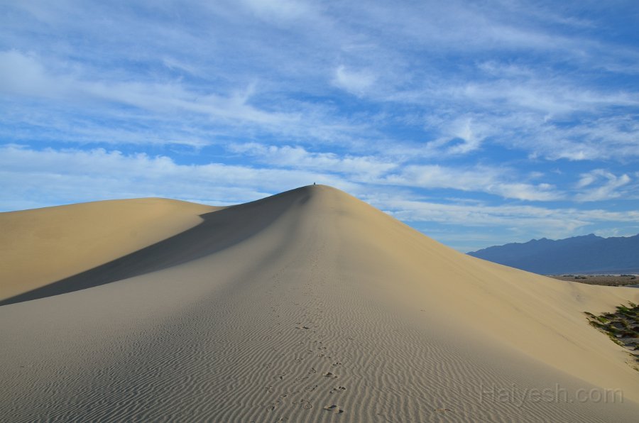 HJS_4794.JPG - Mesquite Sand Dunes at Dawn