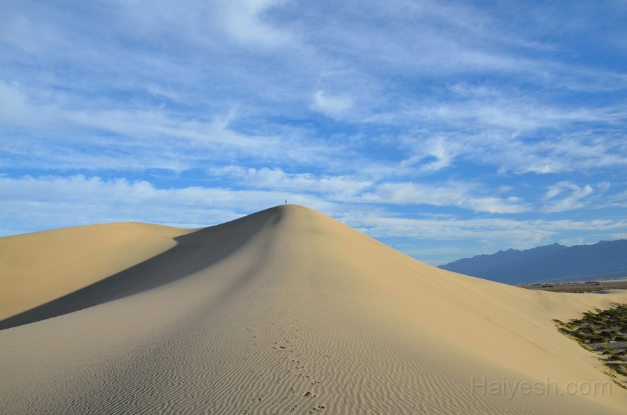 HJS_4800.JPG - Mesquite Sand Dunes at Dawn