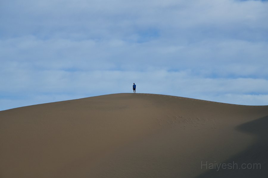 HJS_4802.JPG - Mesquite Sand Dunes at Dawn
