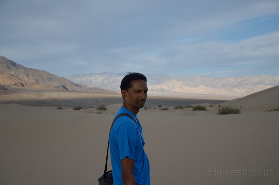 HJS_4820.JPG - Mesquite Sand Dunes at Dawn