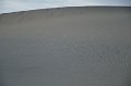 HJS_4819