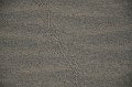 HJS_4825