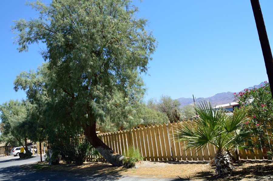 HJS_4429.JPG -  Furnace Creek Ranch