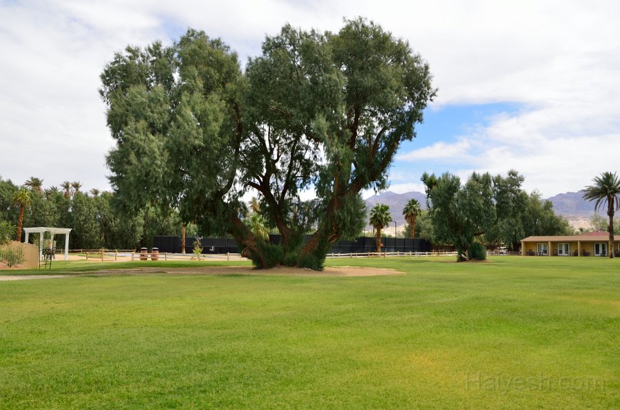 HJS_4915.JPG -  Furnace Creek Ranch