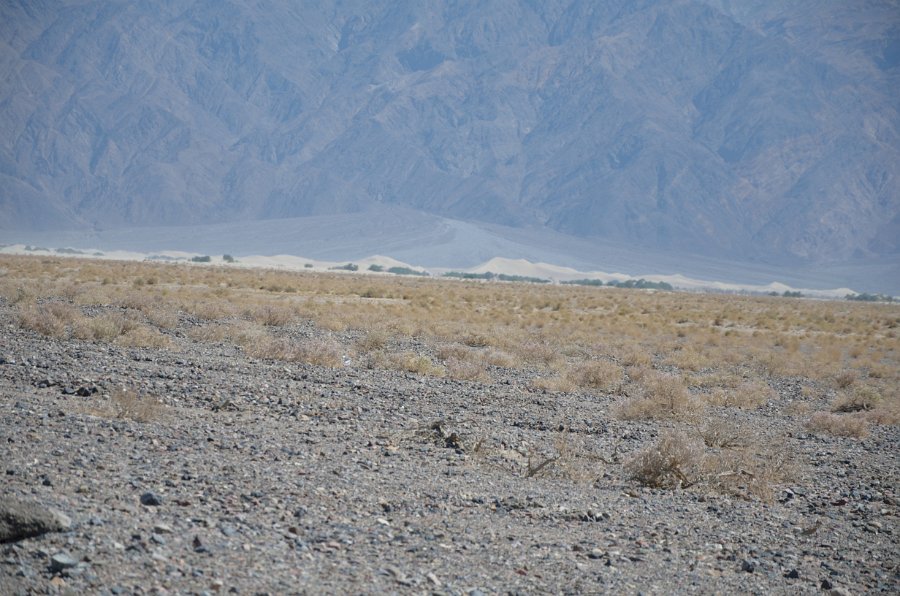 HJS_4140.JPG - Mesquite Flat Sand Dunes in the far distance