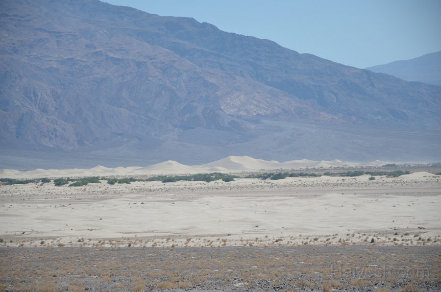 HJS_4141.JPG - Mesquite Flat Sand Dunes in the background
