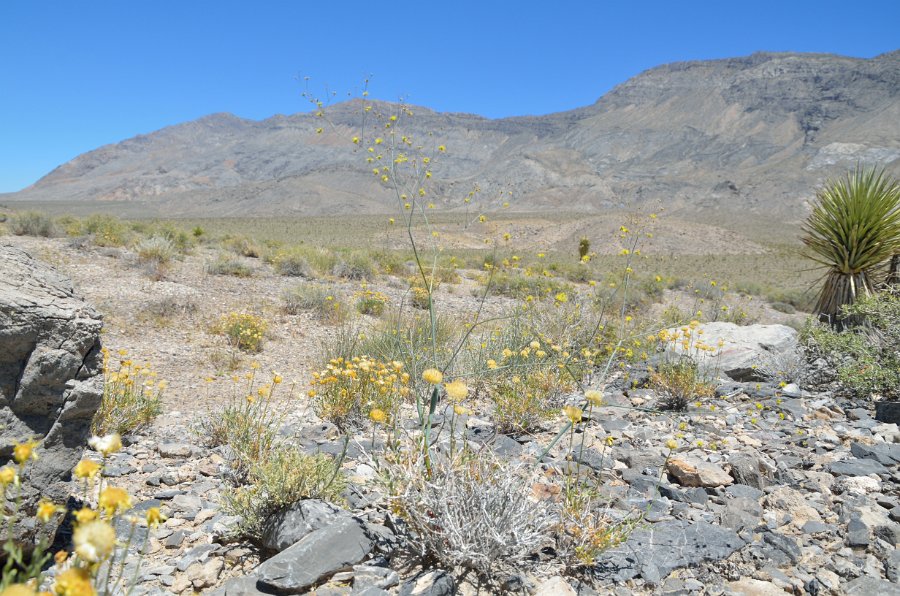 HJS_4026.JPG - On the unpaved drive to The Racetrack 