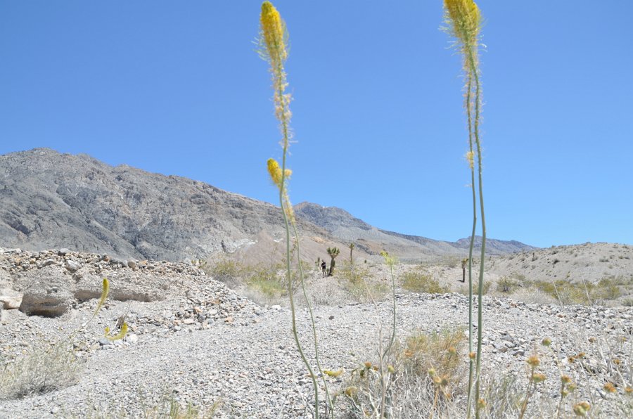 HJS_4076.JPG - On the unpaved drive from The Racetrack 