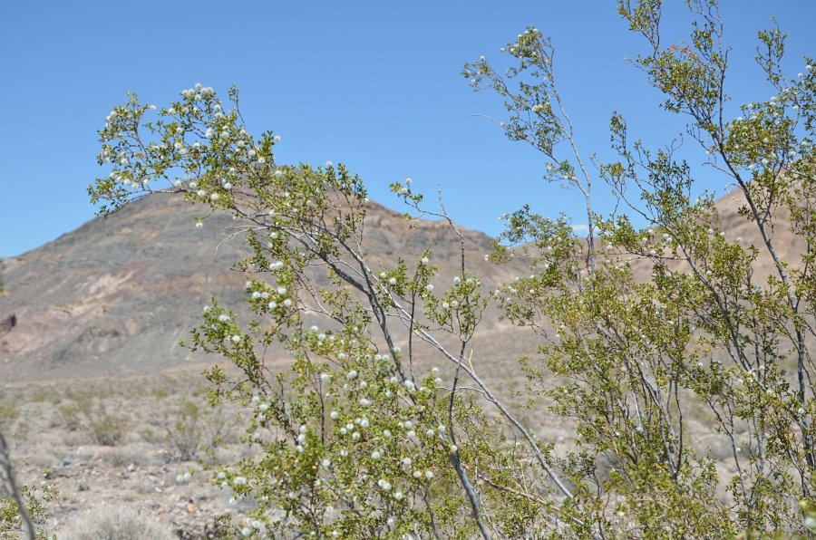 HJS_4093.JPG - On the unpaved drive from The Racetrack 
