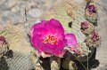 HJS_4059